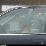 Seatbelt broken?